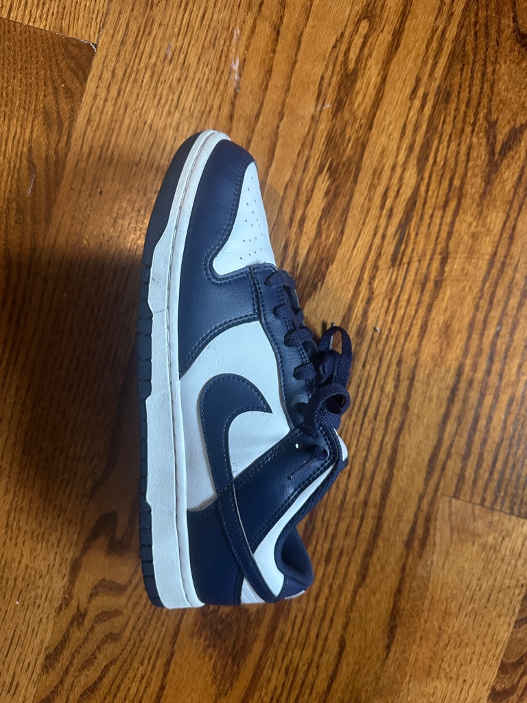 Nike Men’s Size 10 Low-Top Sneaker In Navy And White. Only Worn A Few Times !